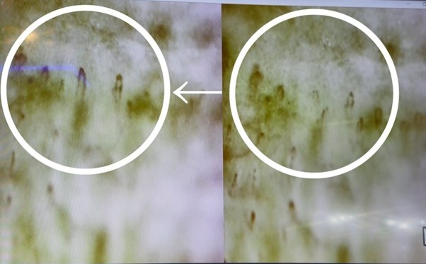 リカバリーウェア