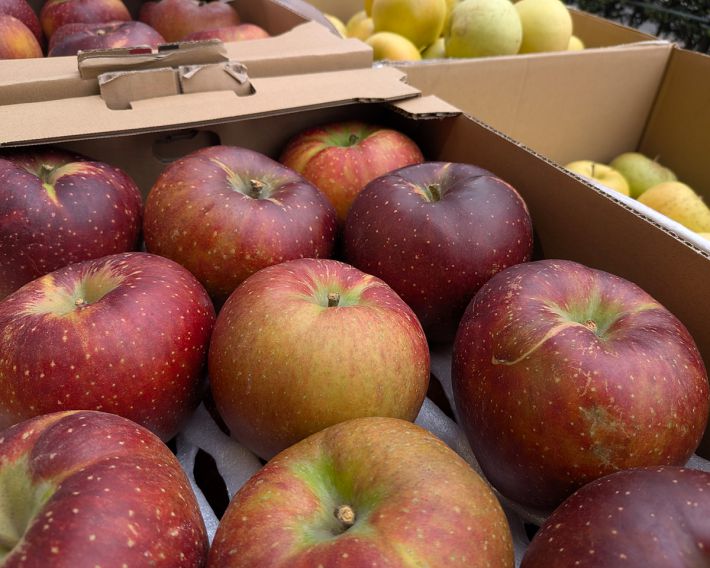 たくさんのりんご