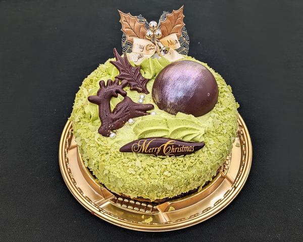 上から見た様子