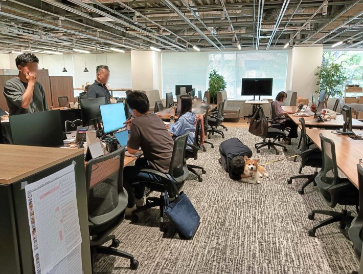 犬と同伴出社できる会社