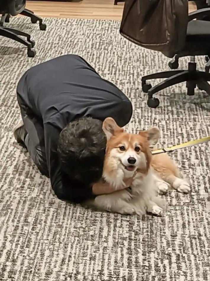 犬と同伴出社できる会社
