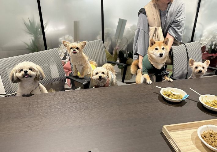 犬と同伴出社できる会社