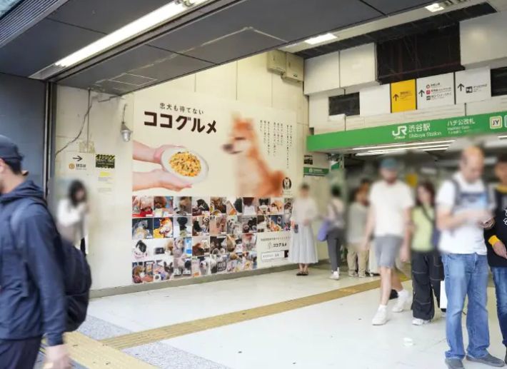 犬と同伴出社できる会社