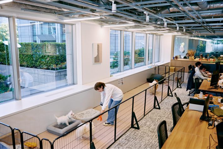 犬と同伴出社できる会社