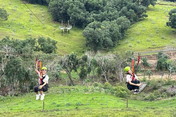 クアロアランチのジップライン