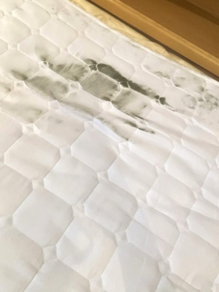 カビが移ってしまった敷きパッド