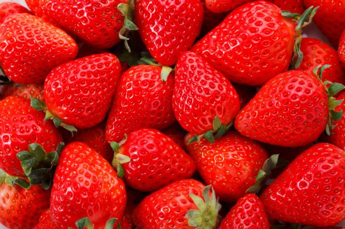 1207_小林青果株式会社⑤