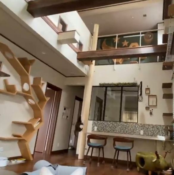 家の中の全体像