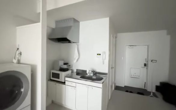 大型家電は洗濯機のみ