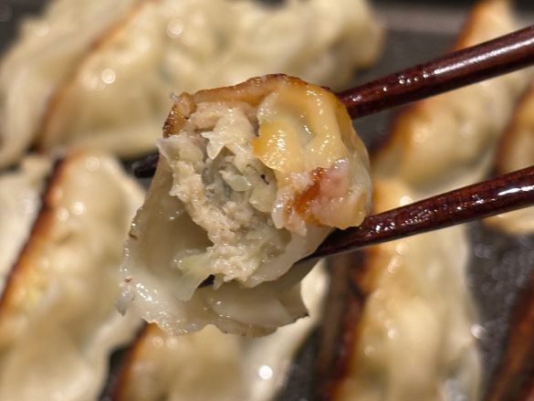 0121_ロピア餃子⑩