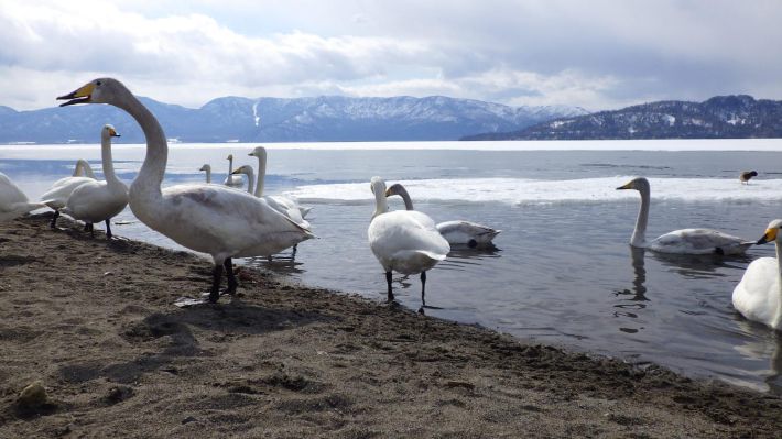 キャプション：『けんちゃん』の舞台である北海道東部の風景。写真／こだま