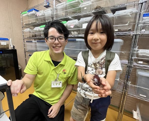 コバエホイホイ