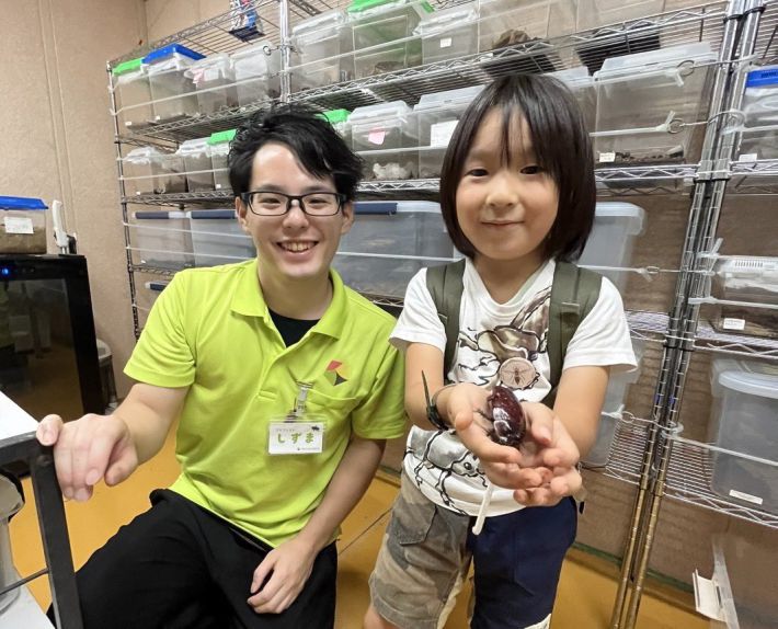 コバエホイホイ