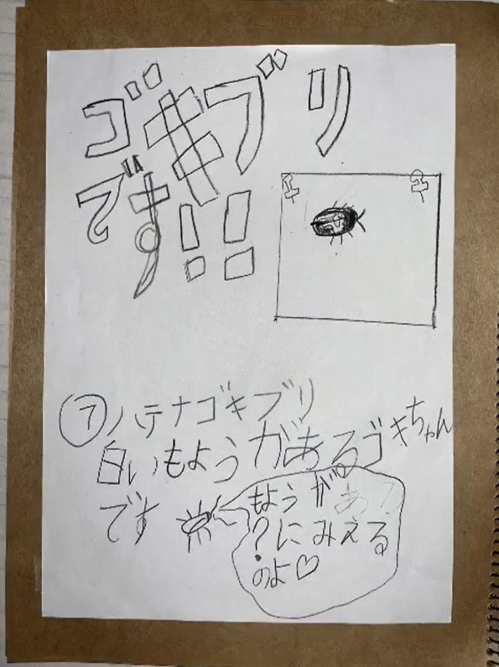 コバエホイホイ