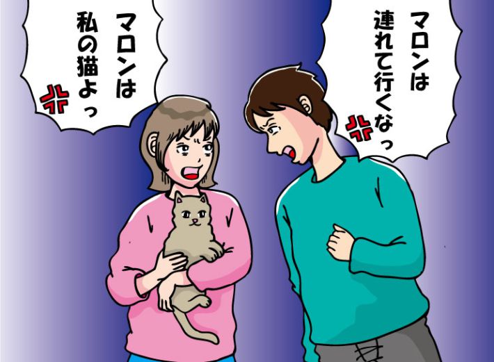 同棲解消でペットをどちらが引き取るか問題