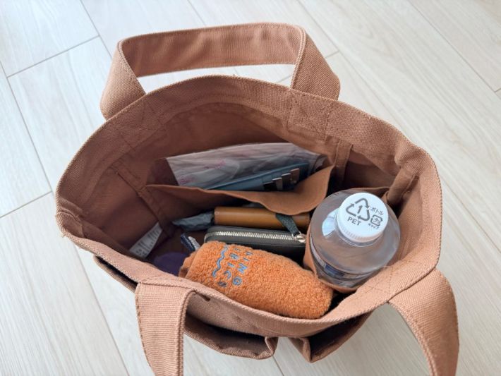 帆布 ミニトートバッグ