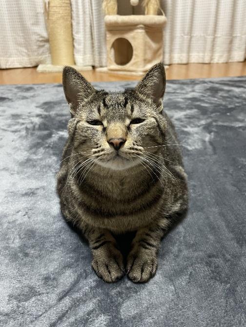 リュウくん おかえりなさいの顔