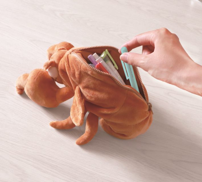 セミの抜け殻筆箱