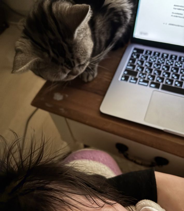 息子を抱っこしたまま右手だけで原稿執筆、見守る飼い猫