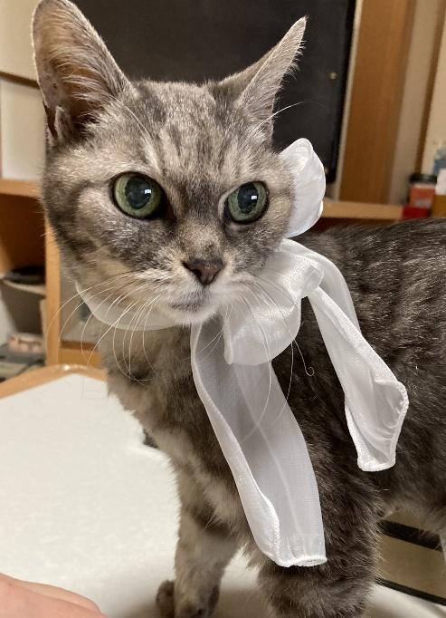 20歳の誕生日に撮影した写真