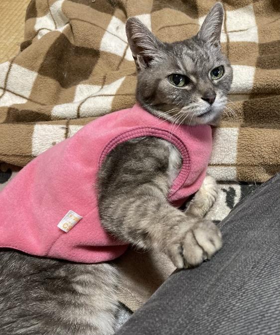 晩年は、寒さ対策のために洋服を着せていた