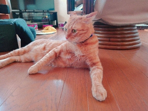 まるくん　リラックス