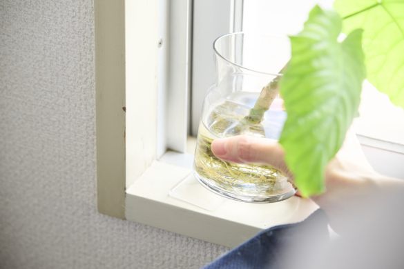 100円ショップの「耐震ジェル」がものを固定するのに大活躍