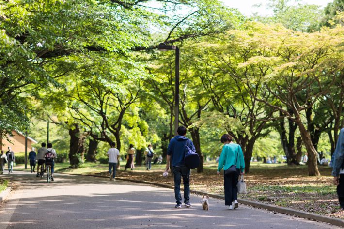 犬の散歩に付き合わされた