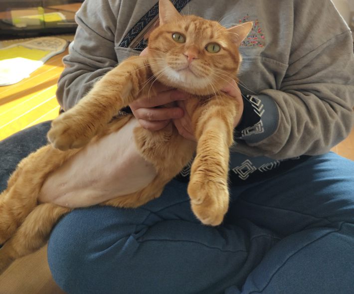 ビフォーアフター