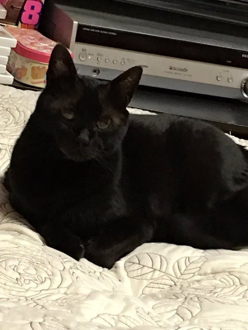 19歳でもイケニャンだった