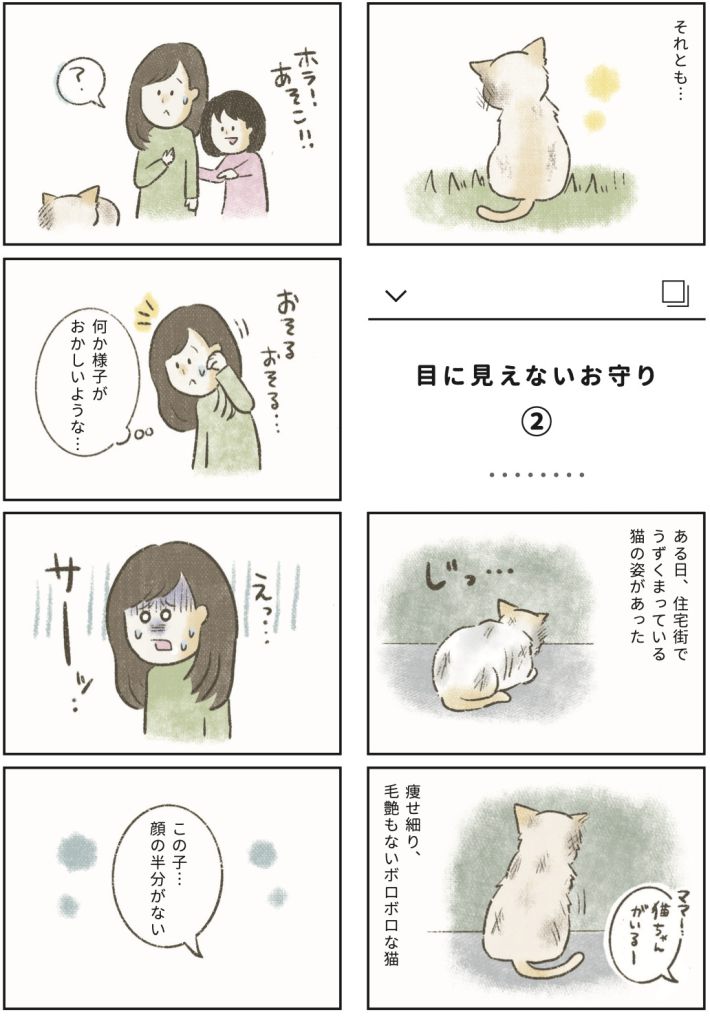 漫画『たまさんちのホゴネコ2』