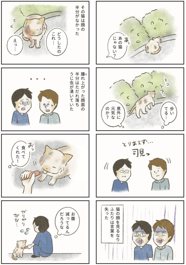漫画『たまさんちのホゴネコ2』
