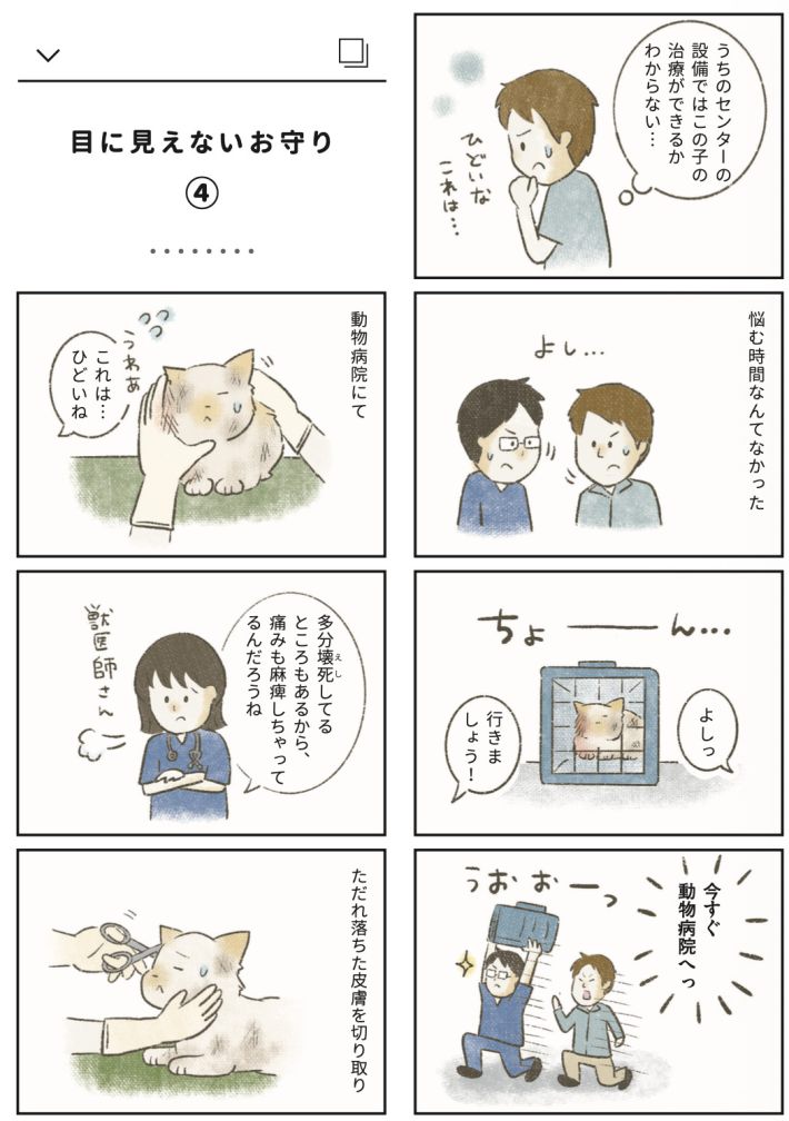 漫画『たまさんちのホゴネコ2』