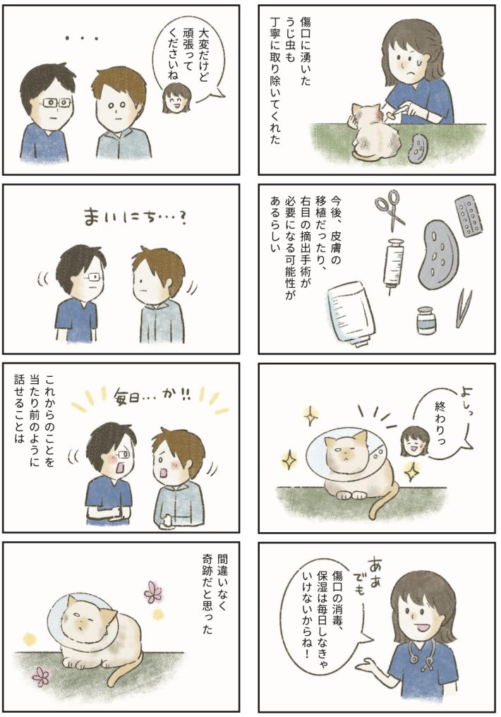 漫画『たまさんちのホゴネコ2』