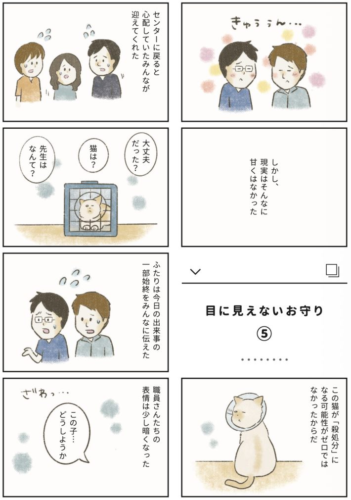 漫画『たまさんちのホゴネコ2』