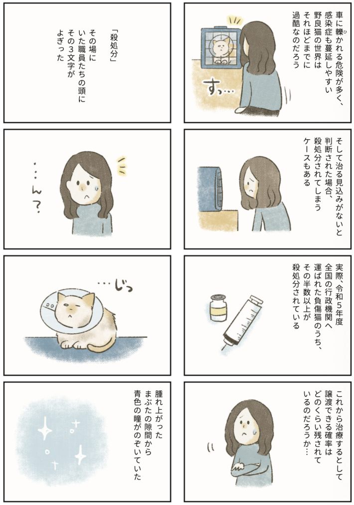 漫画『たまさんちのホゴネコ2』