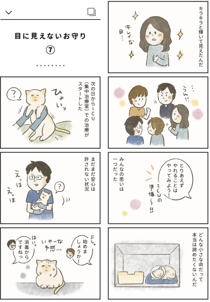 漫画『たまさんちのホゴネコ2』