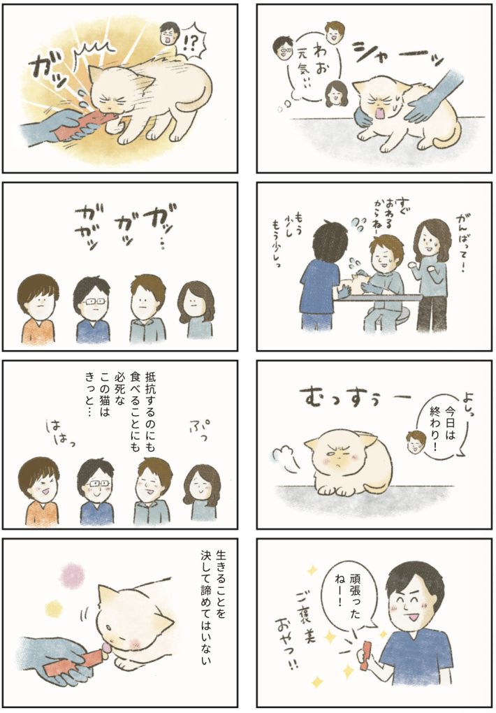 漫画『たまさんちのホゴネコ2』