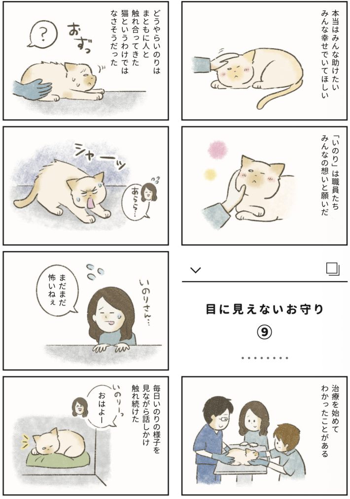 漫画『たまさんちのホゴネコ2』