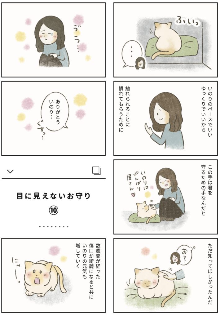 漫画『たまさんちのホゴネコ2』