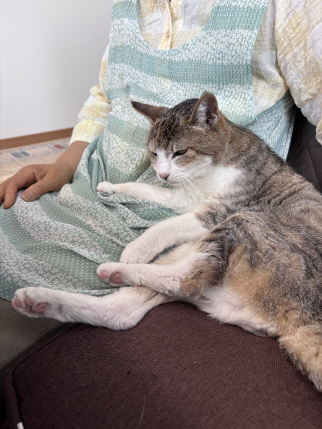 ツユリさんの愛猫　マリンちゃん