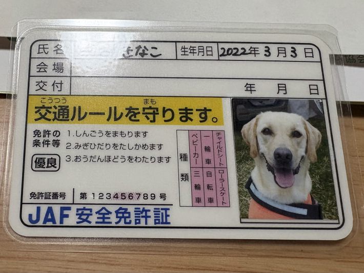 ワンちゃんが運転免許証