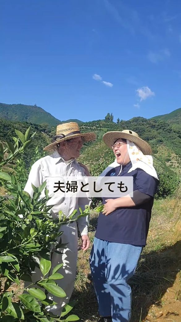 みかん農園