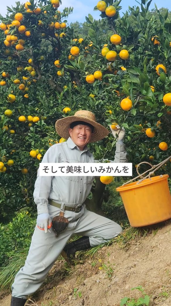 みかん農園