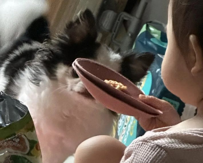 ブラパッド