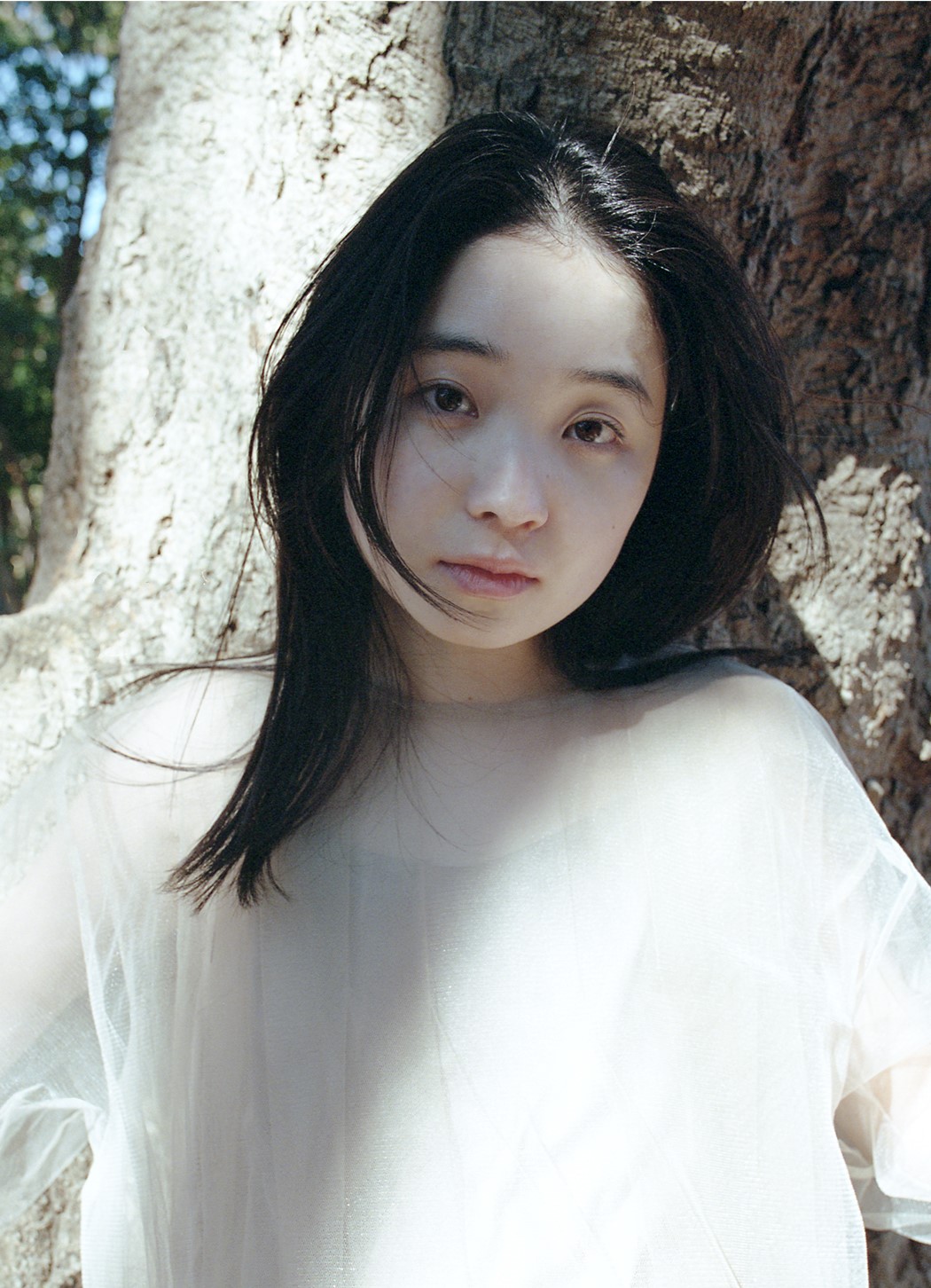 哀川翔 娘 大河ドラマ