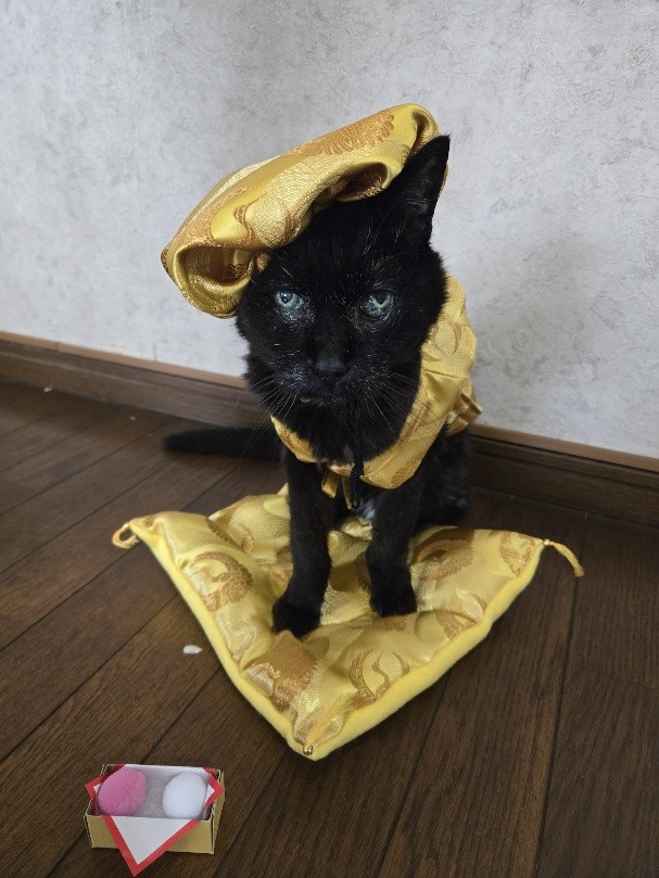 23歳　みゃあのすけくん