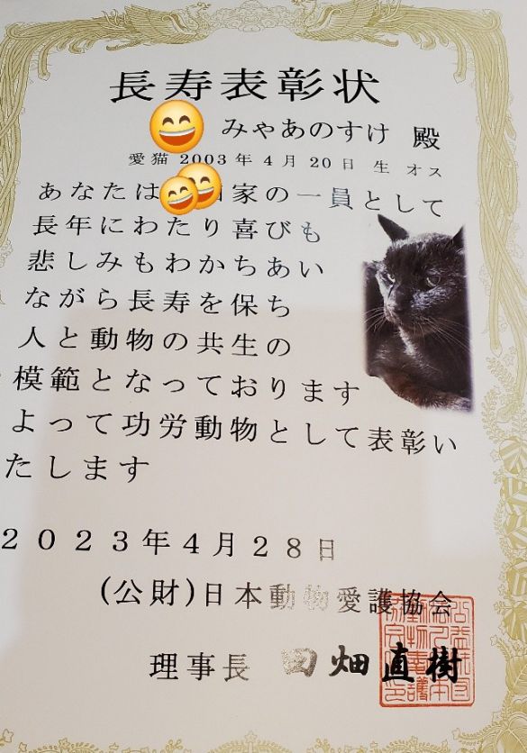 23歳 みゃあのすけくん