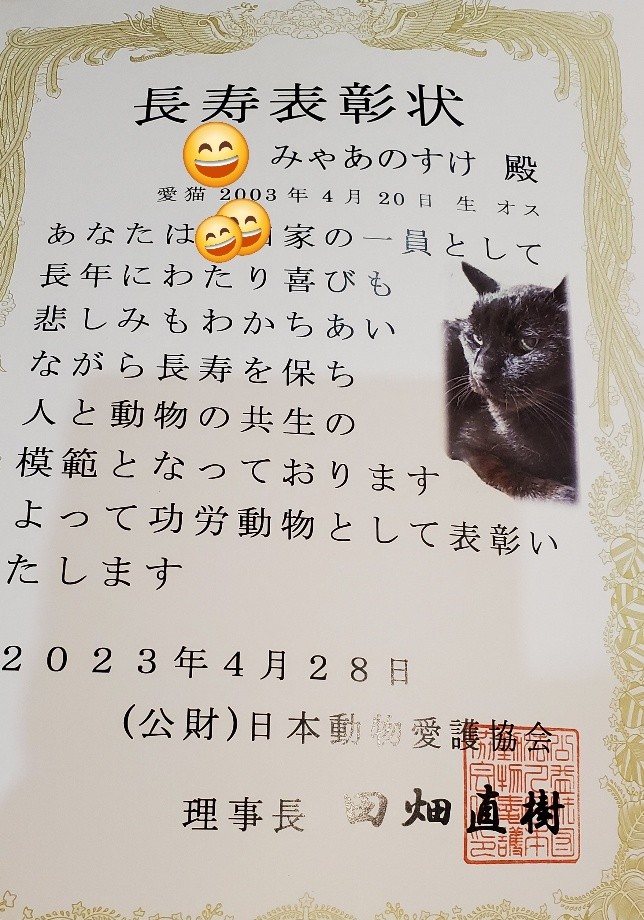 23歳　みゃあのすけくん