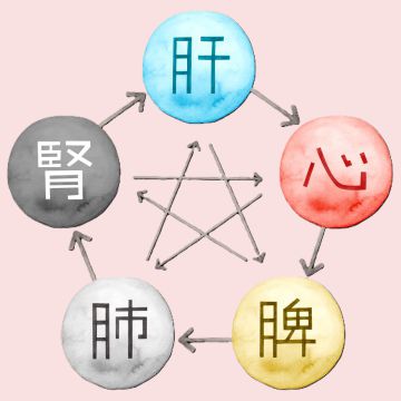 五臓